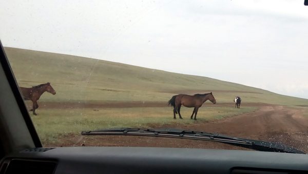 И еще немного монгольских дорог